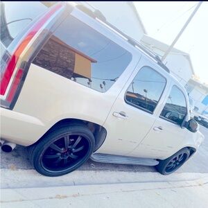 Meet your Posher, Roy